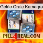 Gelée Orale Kamagra viagra5